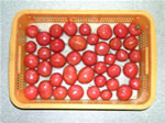 様々な大きさ・形のトマトがあります